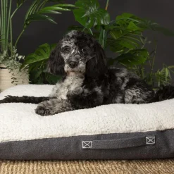 Couchage pour chien coloris gris coussin Scruffs Eco Eden - Taille M 80 x 60 cm