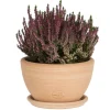 Coupe Cuenco lisse en terre cuite - D21x H12