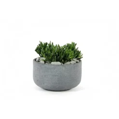 Coupe Stream Anthracite Ø.32 x H.18 cm
