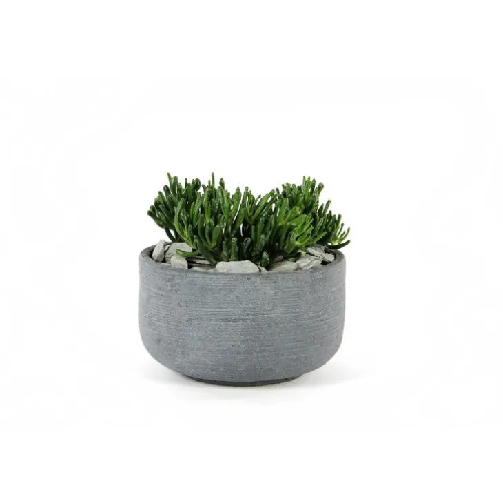 Coupe Stream Anthracite Ø.32 x H.18 cm
