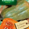 Courge Musquée Sucrine du Berry Vilmorin - graines à semer