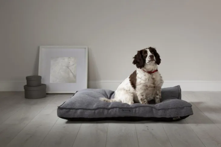 Coussin pour chien gris foncé Manhattan Scruffs – Taille L
