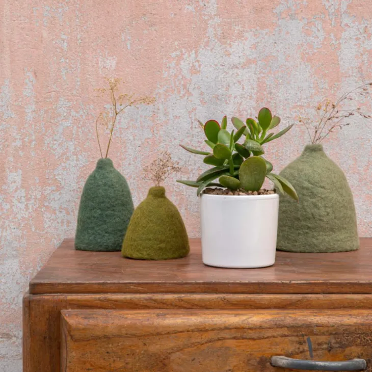 Crassula mix en pot émaillé blanc Ø 10 cm