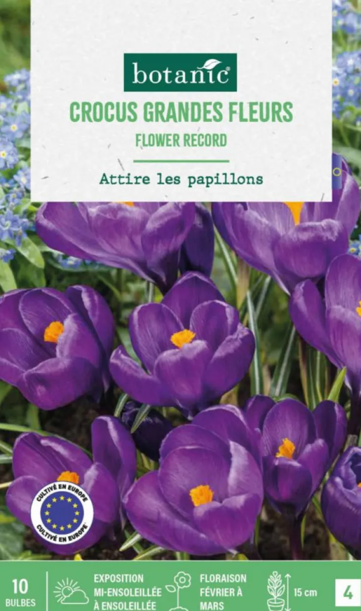 Crocus en mélange botanic® - 10 bulbes