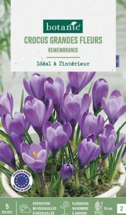 Crocus intérieur Remembrance en mélange botanic® - 5 bulbes