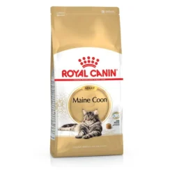 Croquette pour chat adulte Maine Coon Royal Canin - 2 kg