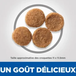Croquette pour chien adulte à l’agneau et au riz Hill's - 12 kg