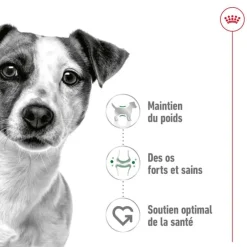 Croquette pour chien adulte de petite taille Royal Canin - 4 kg