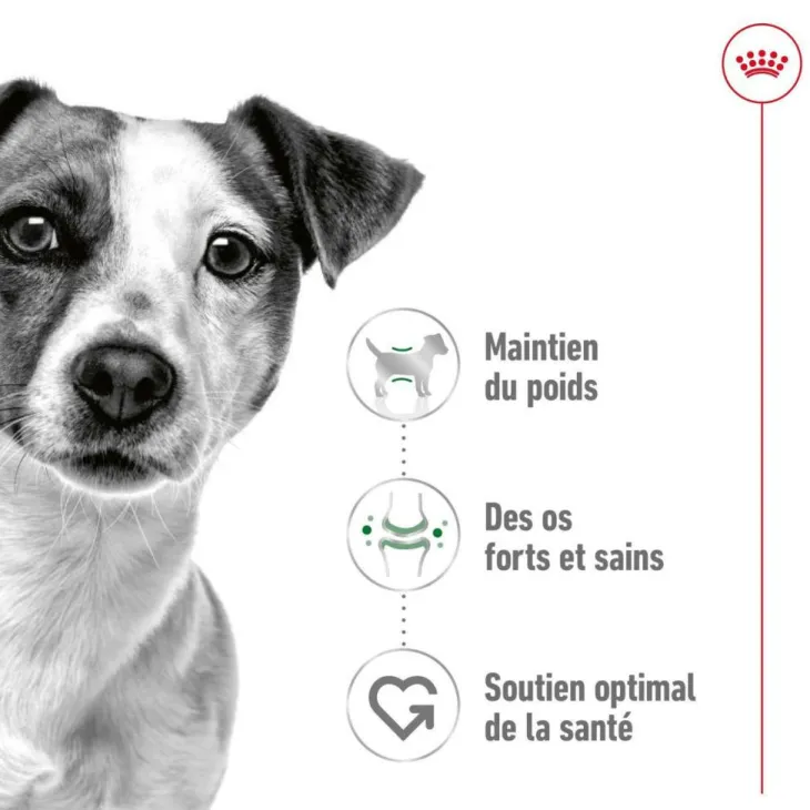 Croquette pour chien adulte de petite taille Royal Canin - 4 kg