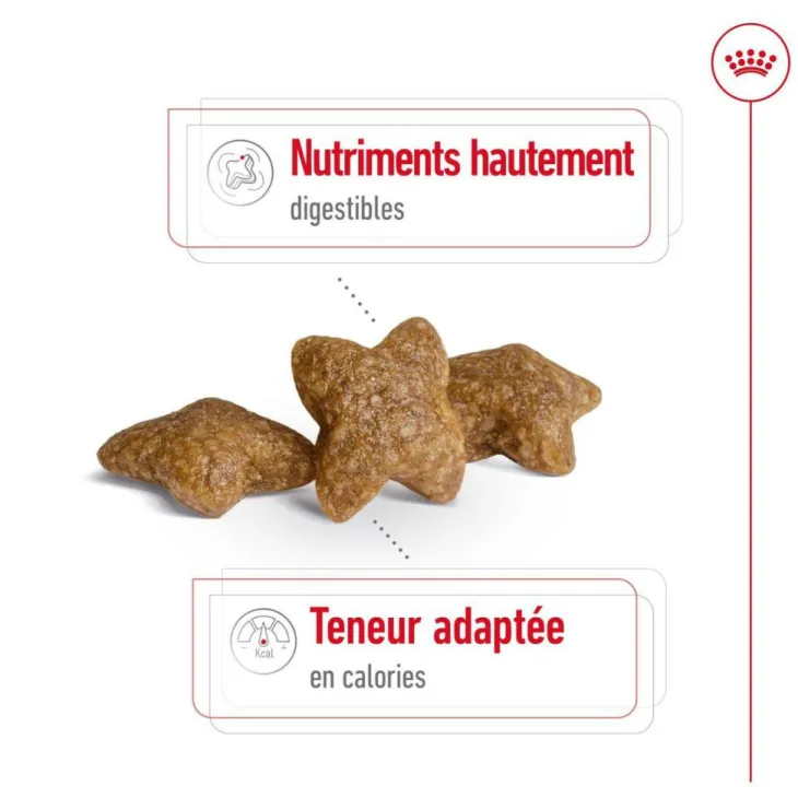 Croquette pour chien adulte de petite taille Royal Canin - 4 kg
