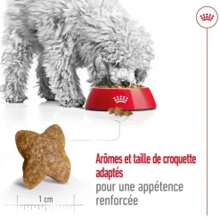 Croquette pour chien adulte de petite taille Royal Canin - 4 kg