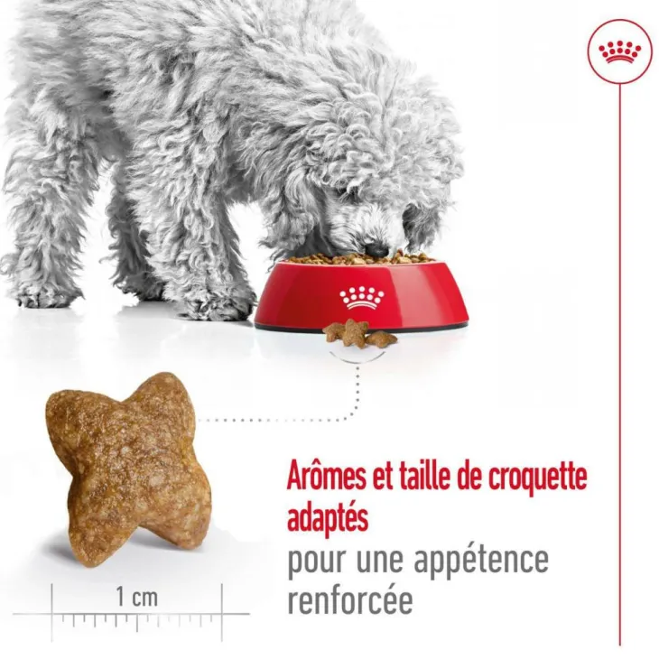 Croquette pour chien adulte de petite taille Royal Canin - 4 kg