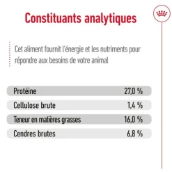 Croquette pour chien adulte de petite taille Royal Canin - 4 kg
