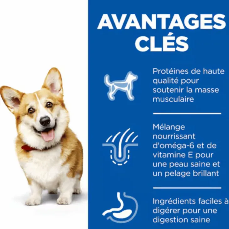 Croquette pour chien adulte de petite taille au poulet Hill's - 3 kg