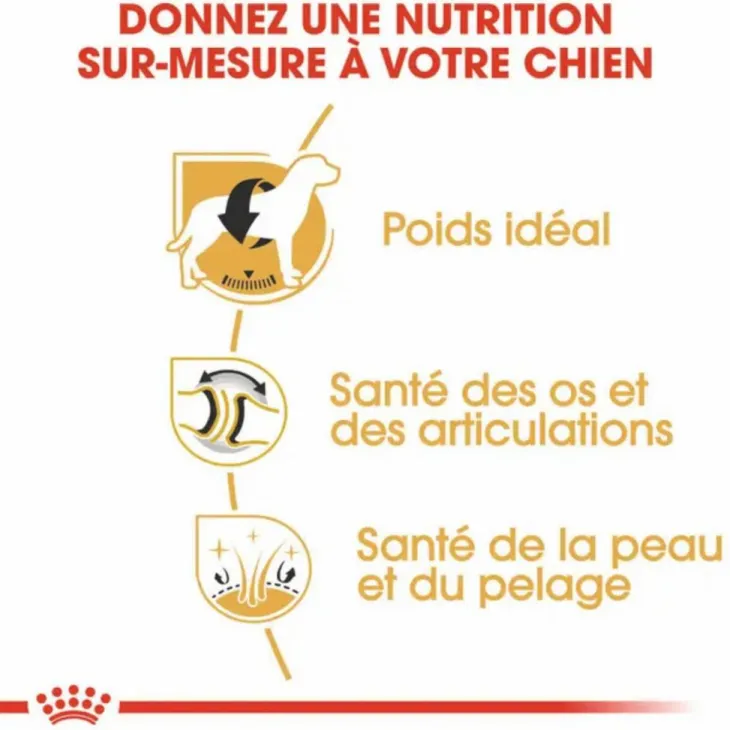 Croquette pour chien adulte Labrador Retriever Royal Canin - 12 kg