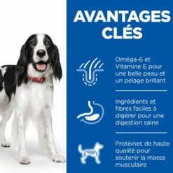 Croquette pour chien adulte au poulet Hill's - 12 kg
