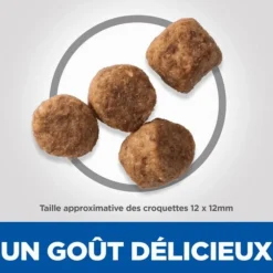 Croquette pour chien mature light au poulet Hill's - 2,5 kg