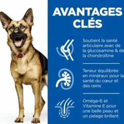 Croquette pour chien mature de grande race au poulet Hill's - 18 kg