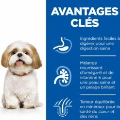 Croquette pour chien mature de petite taille au poulet Hill's - 3 kg