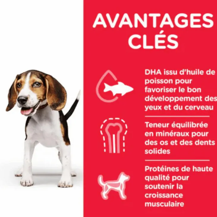 Croquette pour chiot au poulet Hill's - 12 kg