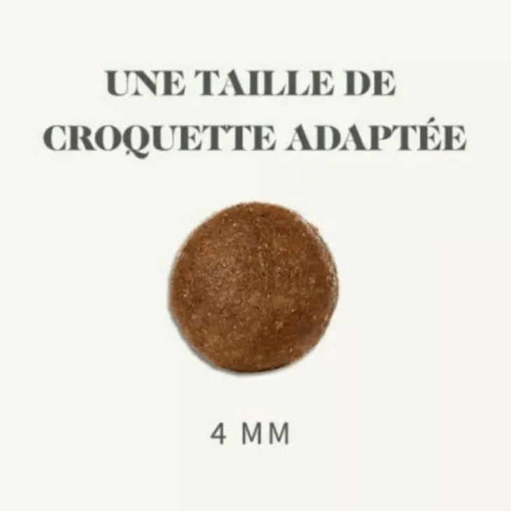 Croquettes pour chien junior au poulet sans céréales Bab'in Signature - 3 kg