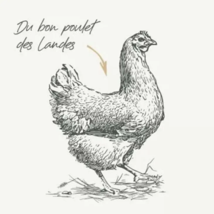 Croquettes pour chien maxi adulte au poulet sans céréales Bab'in Signature - 12 kg
