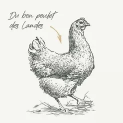 Croquettes pour chien medium adulte au poulet sans céréales Bab'in Signature - 12 kg