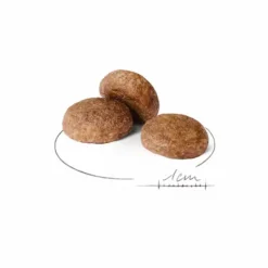 Croquettes pour chien Royal Canin Medium adulte de + 7 ans - Le sac de 15 kg