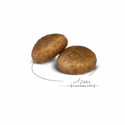 Croquettes pour chien Royal Canin Maxi adulte de + de 15 mois - Le sac de 15 kg