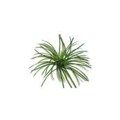 Décor avec herbe verte en tissu pour terrarium 25 x 50 cm