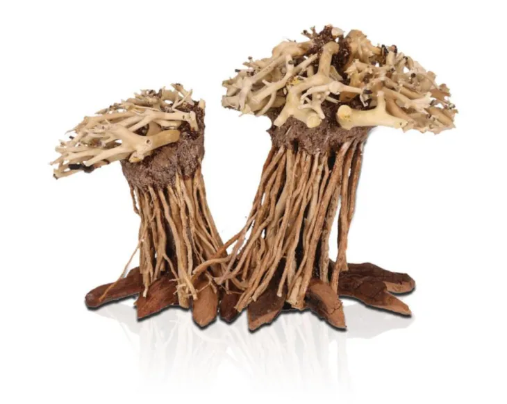 Décor pour aquarium coloris marron Aquavie Three Forêt Double PM - 12 x 12 x 15 cm