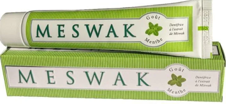 Dentifrice ayurvédique goût menthe Kerala Nature Meswak®– 100 g