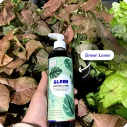 Duo engrais plantes vertes et agrumes liquide naturel Bleen - 2 x 450 mL