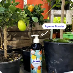 Duo engrais plantes vertes et agrumes liquide naturel Bleen - 2 x 450 mL