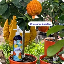 Engrais agrumes liquide naturel Bleen - 450 mL
