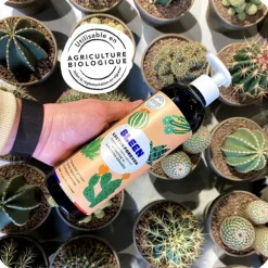 Engrais cactus & succulentes liquide naturel Bleen - 450 mL