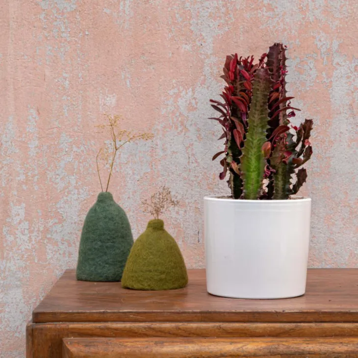 Euphorbia hermentiana rubra en pot blanc émaillé H 10 x Ø 15 cm