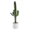 Euphorbia Érythrea en pot blanc émaillé H 30 x Ø 20 cm
