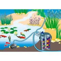 Filtre pression et UV pour bassin - SUNSUN CPF 30000
