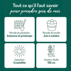 Framboisier Paris Bio. Le pot de 2 litres