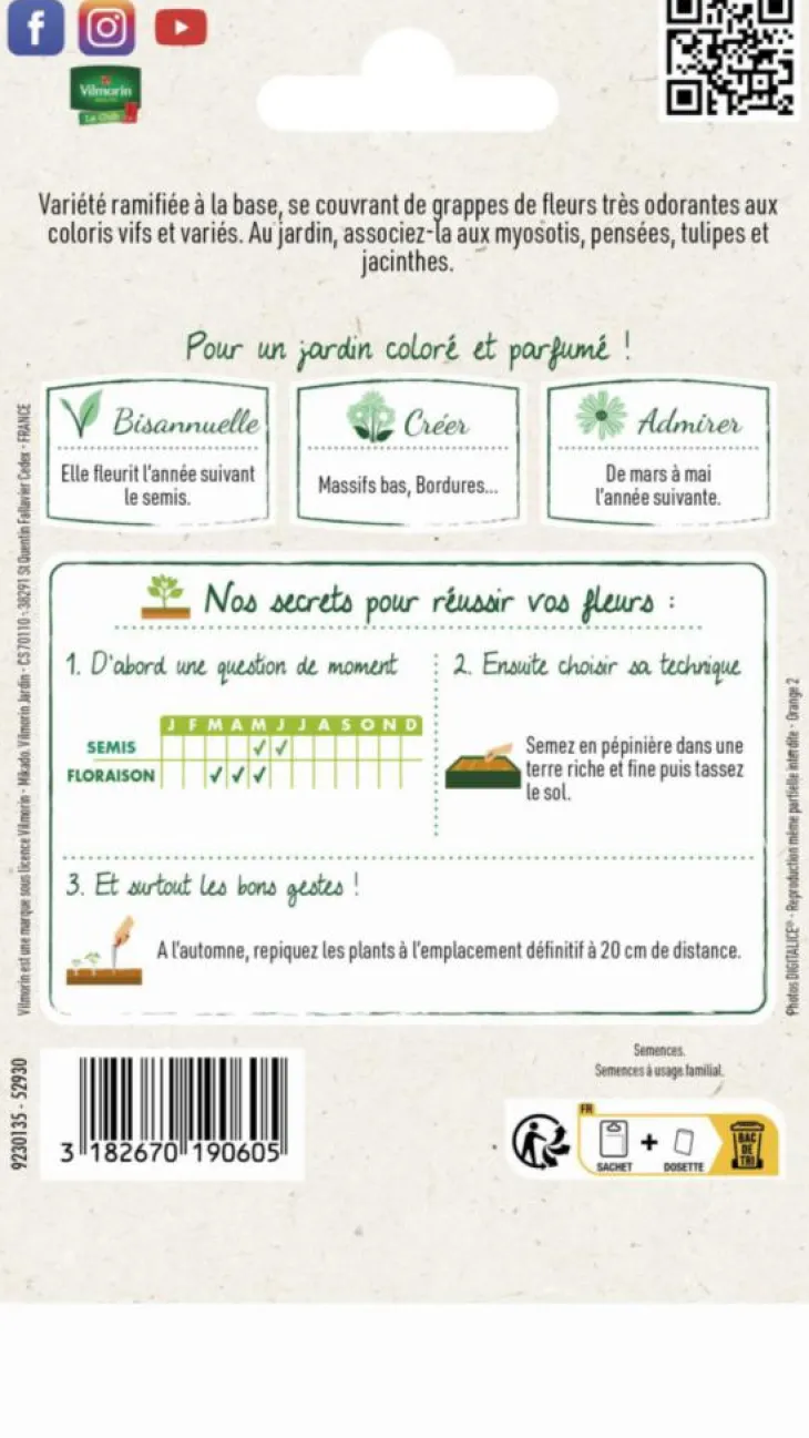 Giroflée Ravenelle Simple Variée Vilmorin - graines à semer