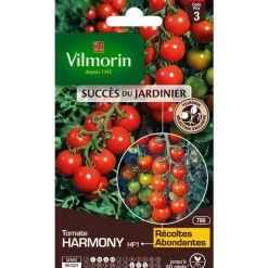 Graine de tomate harmony HF1 Vilmorin - graines à semer