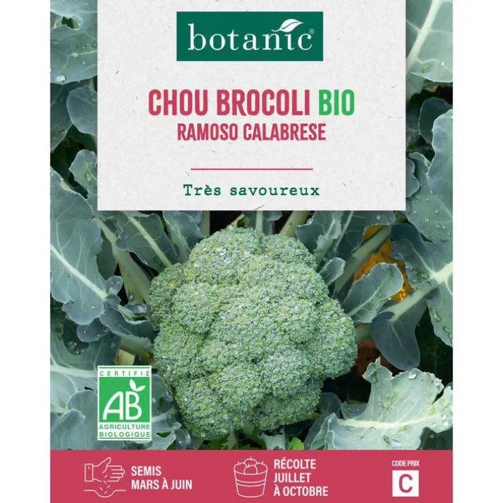 Graines de brocolis vert calabrais ramoso bio botanic® - graines à semer