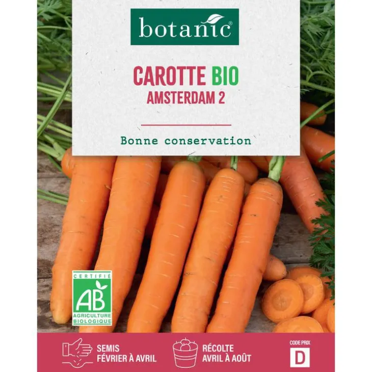Graines de carotte Amsterdam 2 bio botanic® - graines à semer