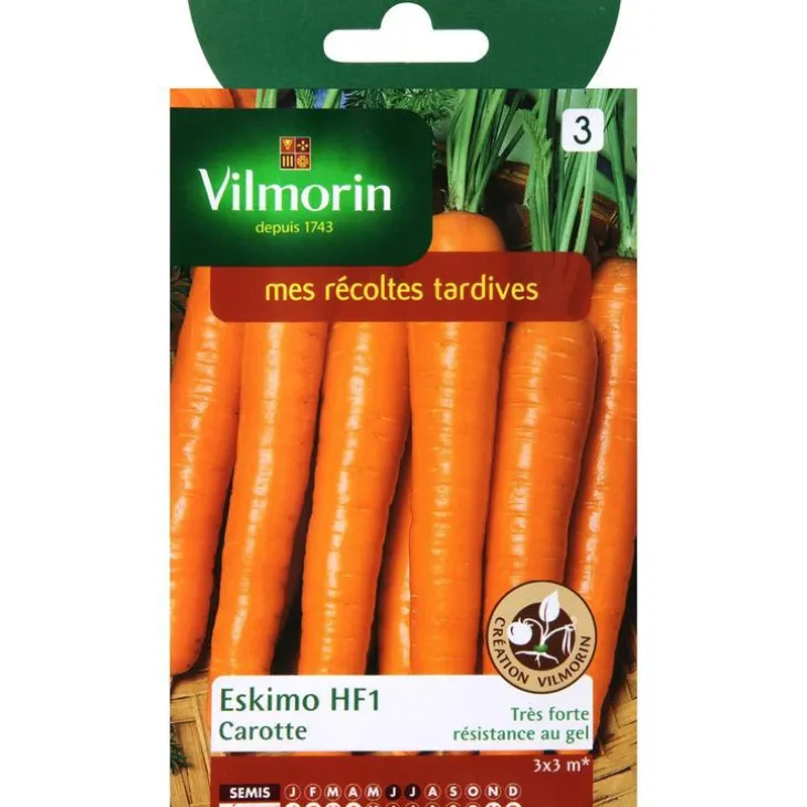 Graines de carotte eskimo HF1 Vilmorin - graines à semer