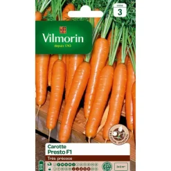 Graines de carotte presto HF1 Vilmorin - graines à semer