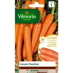 Graines de carotte touchon Vilmorin orange - graines à semer