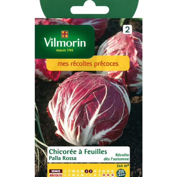 Graines de chicorée à feuilles palla rossa Vilmorin - graines à semer