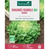 Graines de Chicorée scarole nuance bio botanic® - graines à semer