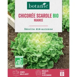 Graines de Chicorée scarole nuance bio botanic® - graines à semer